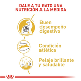 FBN BENGAL - NUTRICION A LA MEDIDA.png